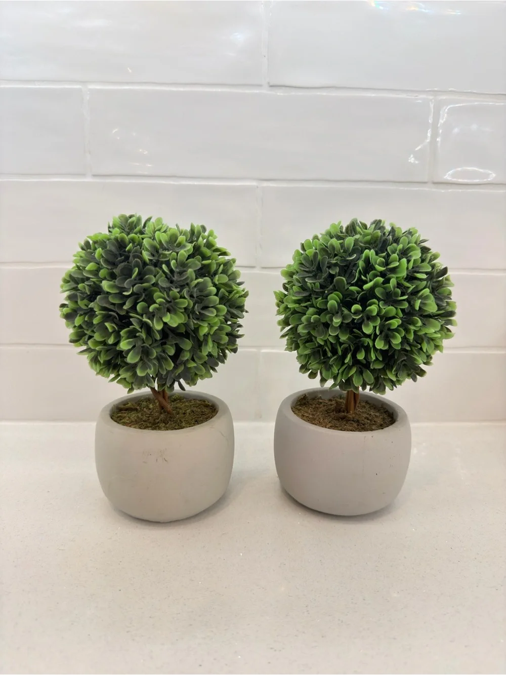 Artificial Boxwood Topiary in White Planter - Set of 2